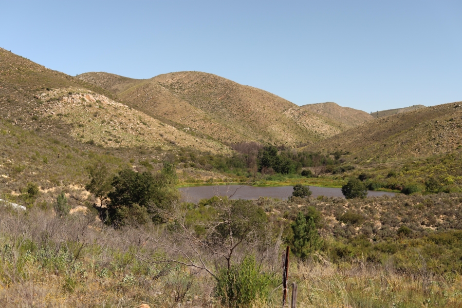 0 Bedroom Property for Sale in Haarlem Western Cape